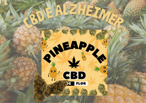 CBD e Alzheimer
