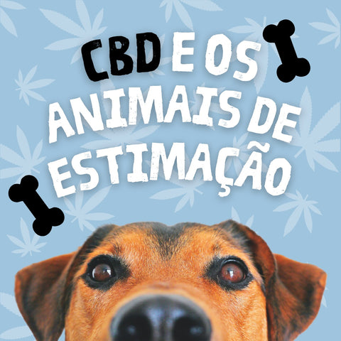 CBD e Animais de Estimação