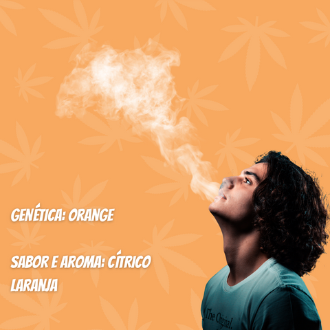 Flor de HHC Orange 50%