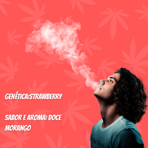 Flor de HHC Strawberry 50%