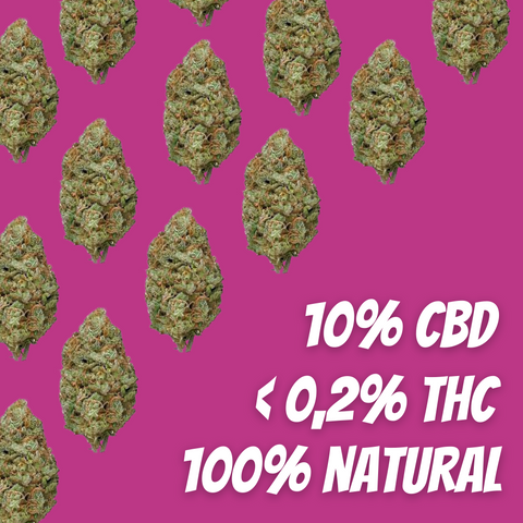 Flor de CBD Bubble Gum
