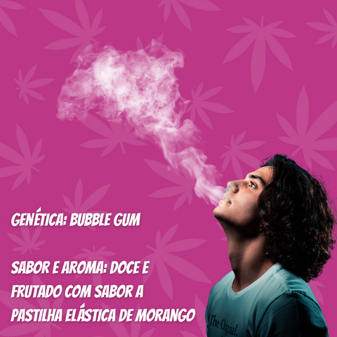 Flor de CBD Bubble Gum
