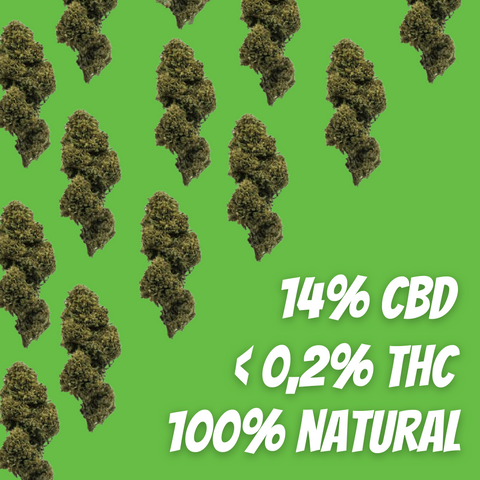 Flor de CBD Cannatonic