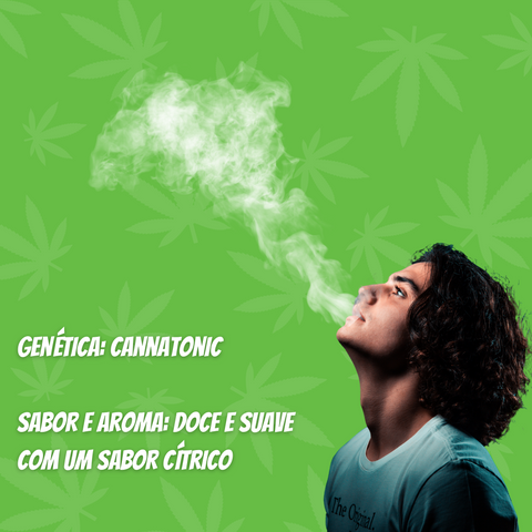 Flor de CBD Cannatonic