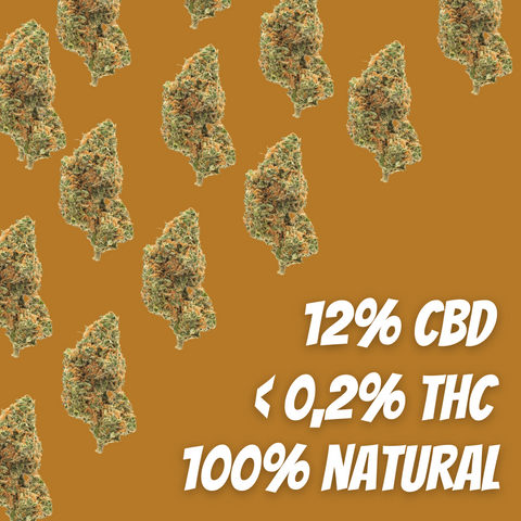 Flor de CBD AK - 47