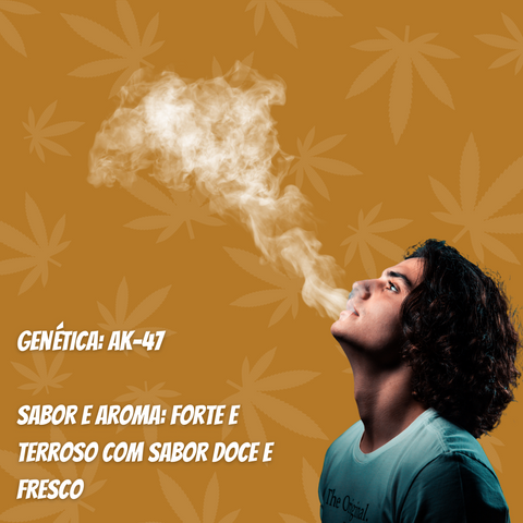 Flor de CBD AK - 47