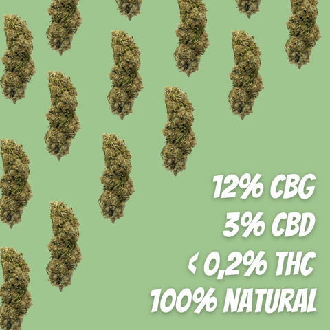 Flor de CBG White Widow