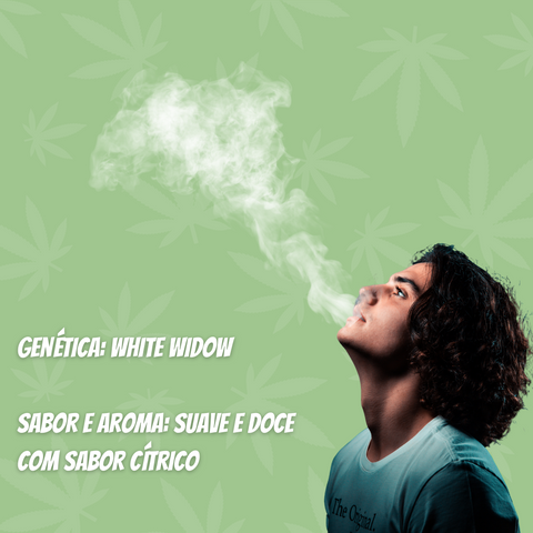 Flor de CBG White Widow