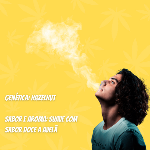 Flor de HHC Hazelnut 50%