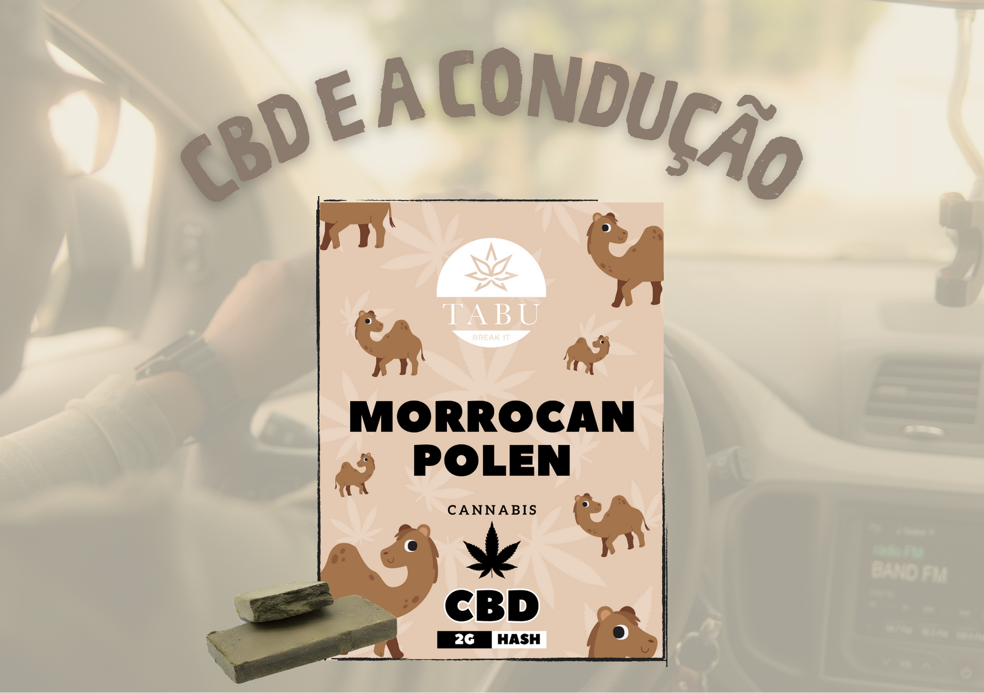 CBD e a Condução: O Que Dizem as Pesquisas? Image