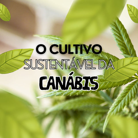 Descobre o Cultivo Sustentável de Cannabis: Práticas Amigas do Ambiente para Produção de CBD de Qualidade. Aproveita a Natureza Responsável e os Benefícios do CBD!