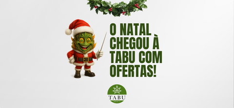 A Magia do Natal Começa com Bem-Estar e Diversão 🎁