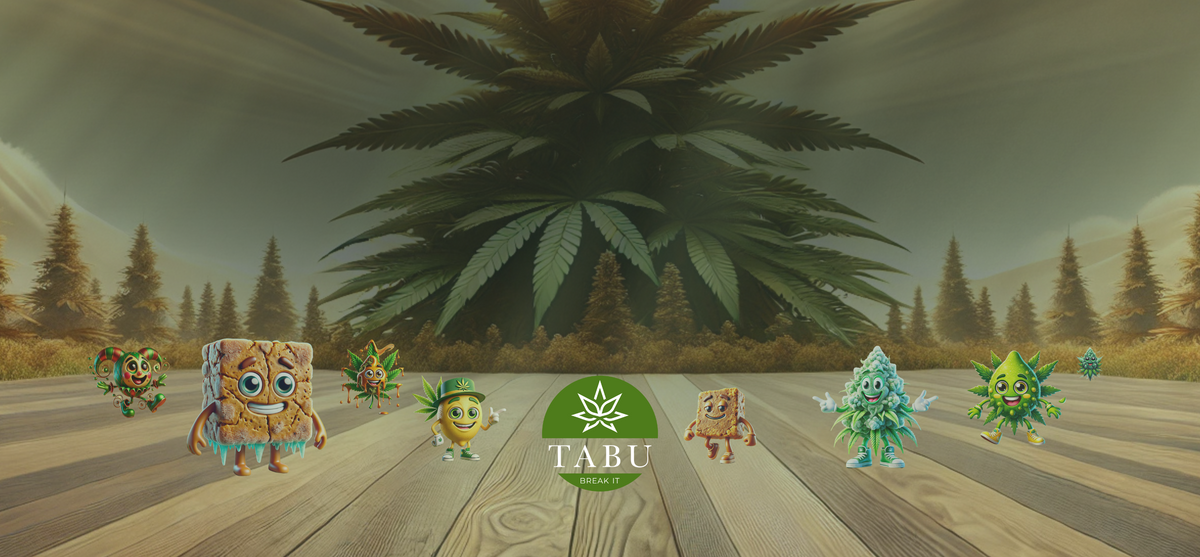 Descobre a Nova Gama Premium de CBD e HHC da Tabu Imagem
