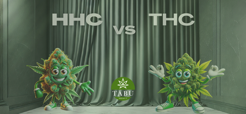 HHC vs THC: Descobre as Semelhanças e as Diferenças