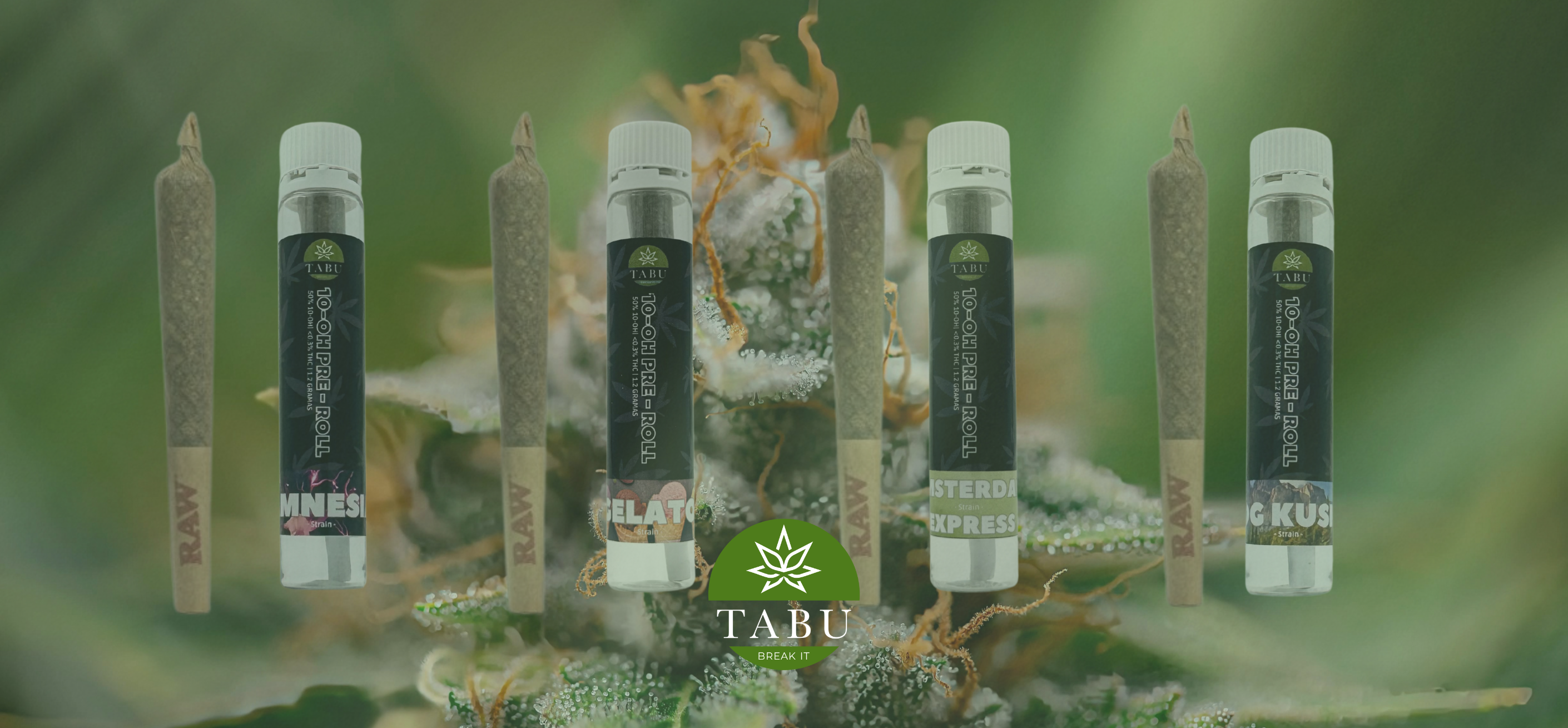 Pre-Rolls de 10-OH: O Novo HHC Já Está Aqui Image