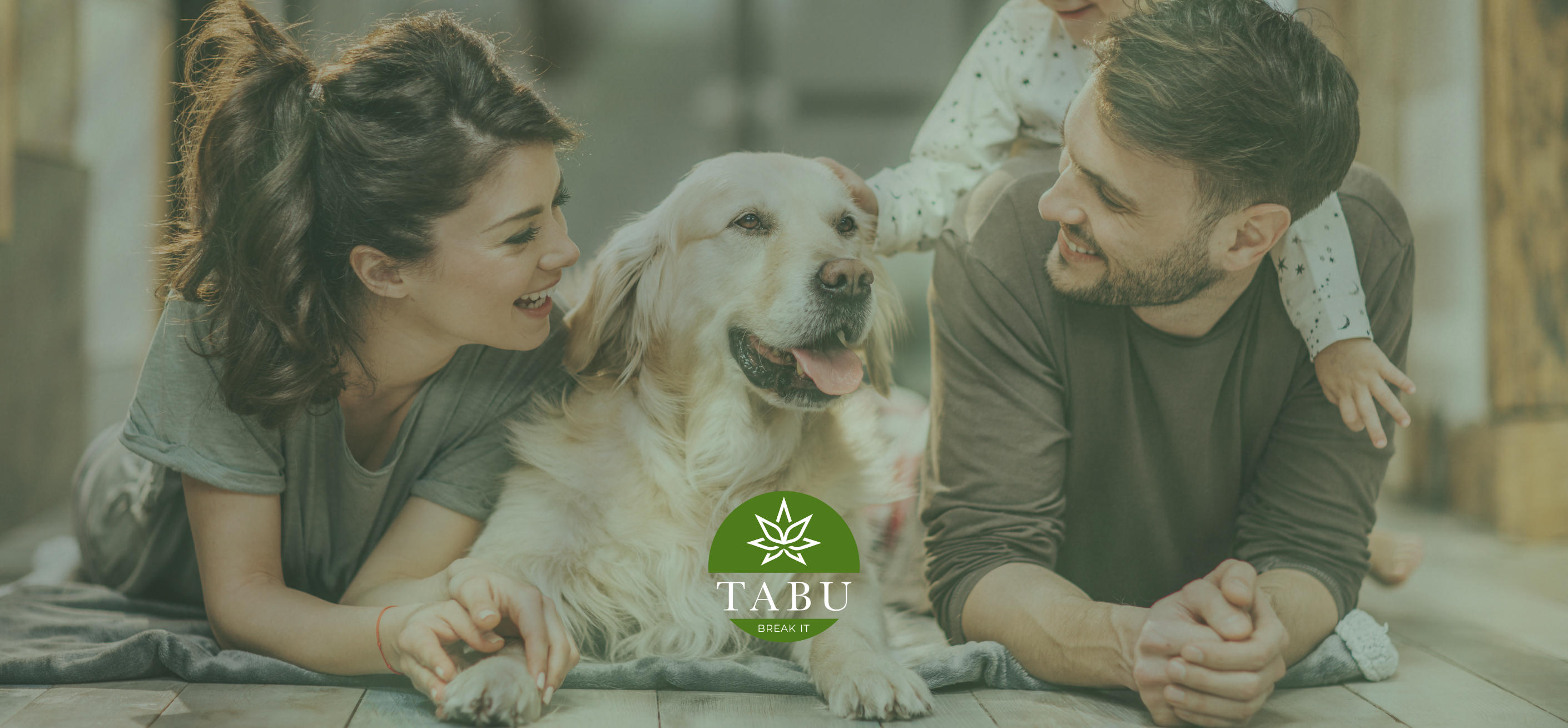 Benefícios do Óleo de Cânhamo para Animais Image
