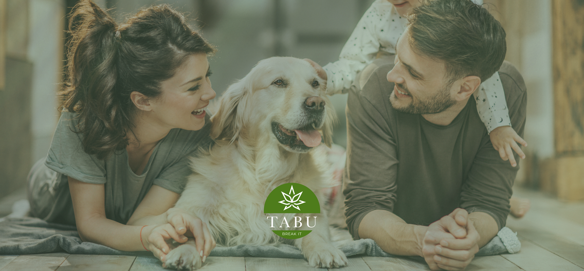 Benefícios do Óleo de Cânhamo para Animais Imagem