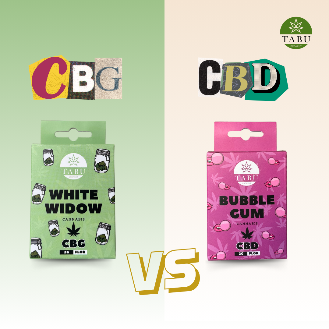 CBD vs. CBG: Understanding the Differences and Benefits – TABU CBD