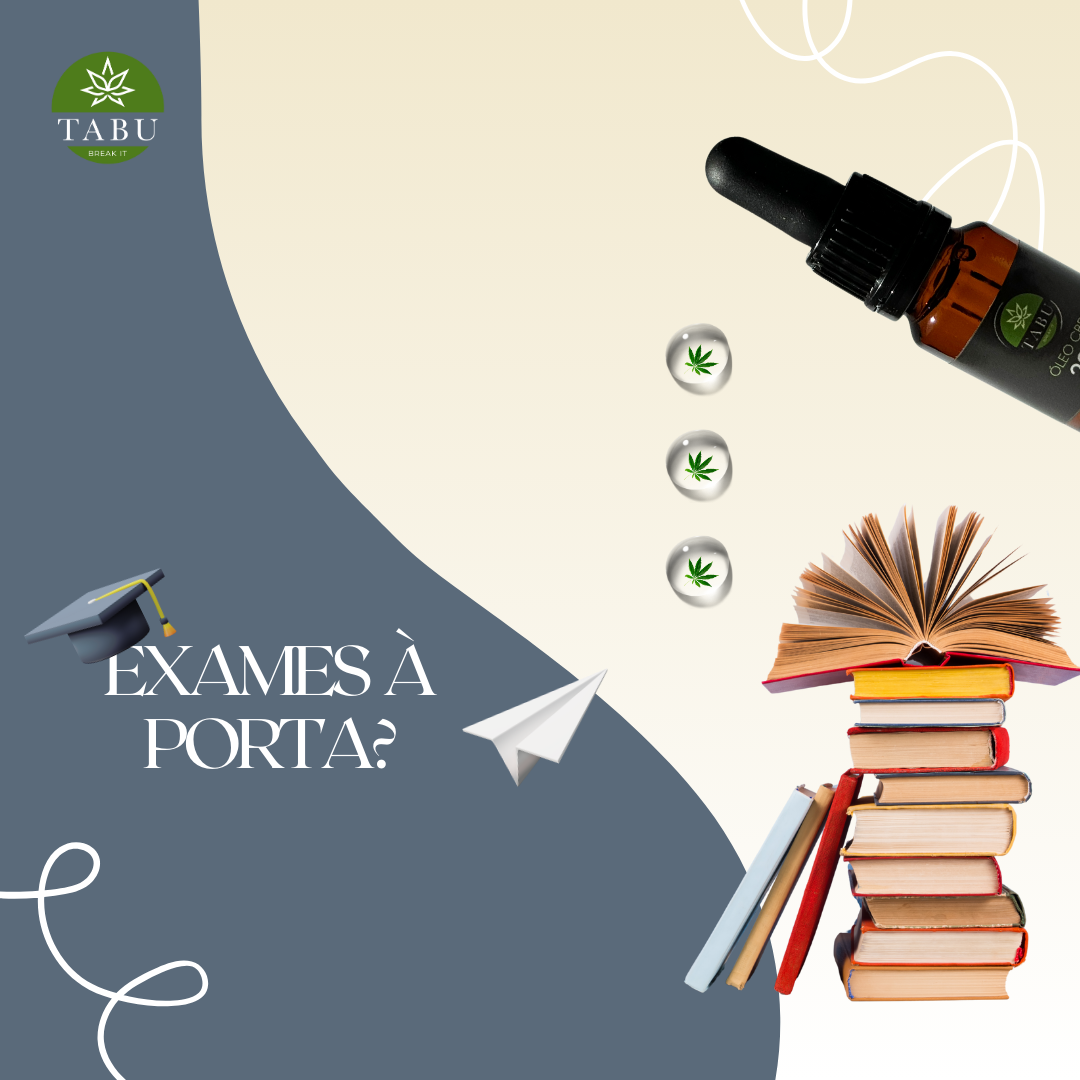Stress com os Exames Escolares? Temos a solução perfeita Imagen