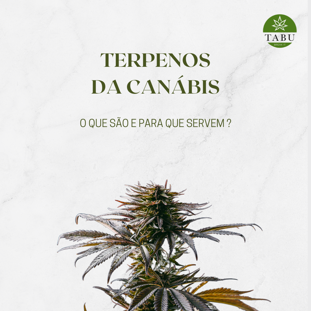 Terpenos da Canábis - O que são e para que servem? Imagen