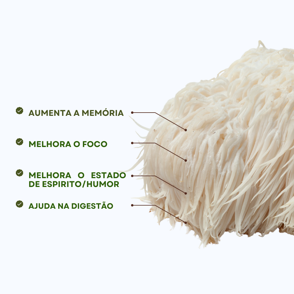 Lion's Mane - Improves Focus and Memory