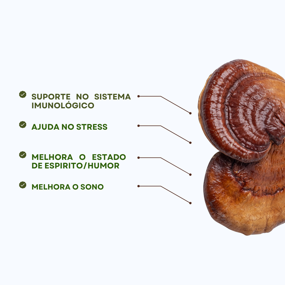 Reishi - Improves Sleep and Stress