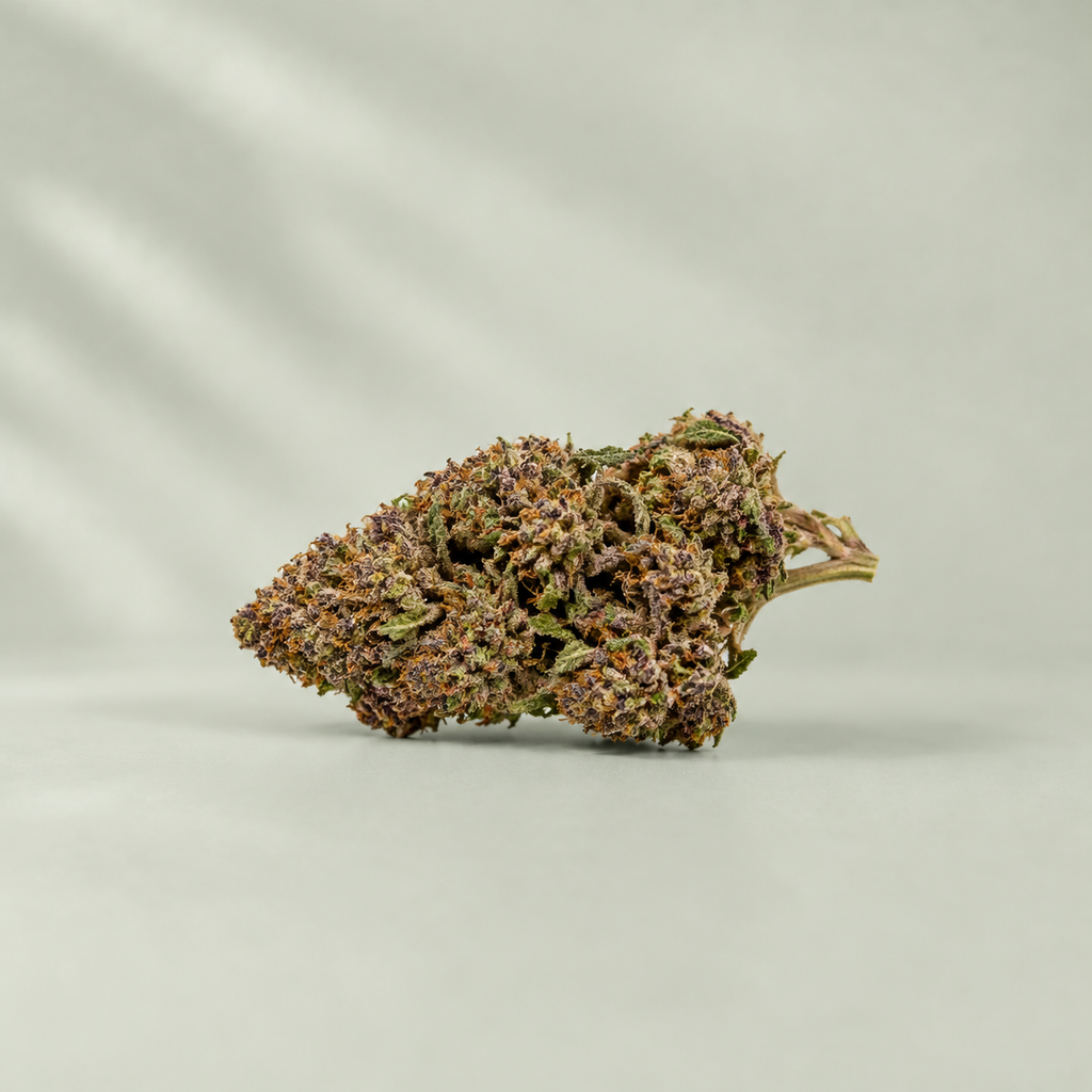 Pumpkin Haze CBD
