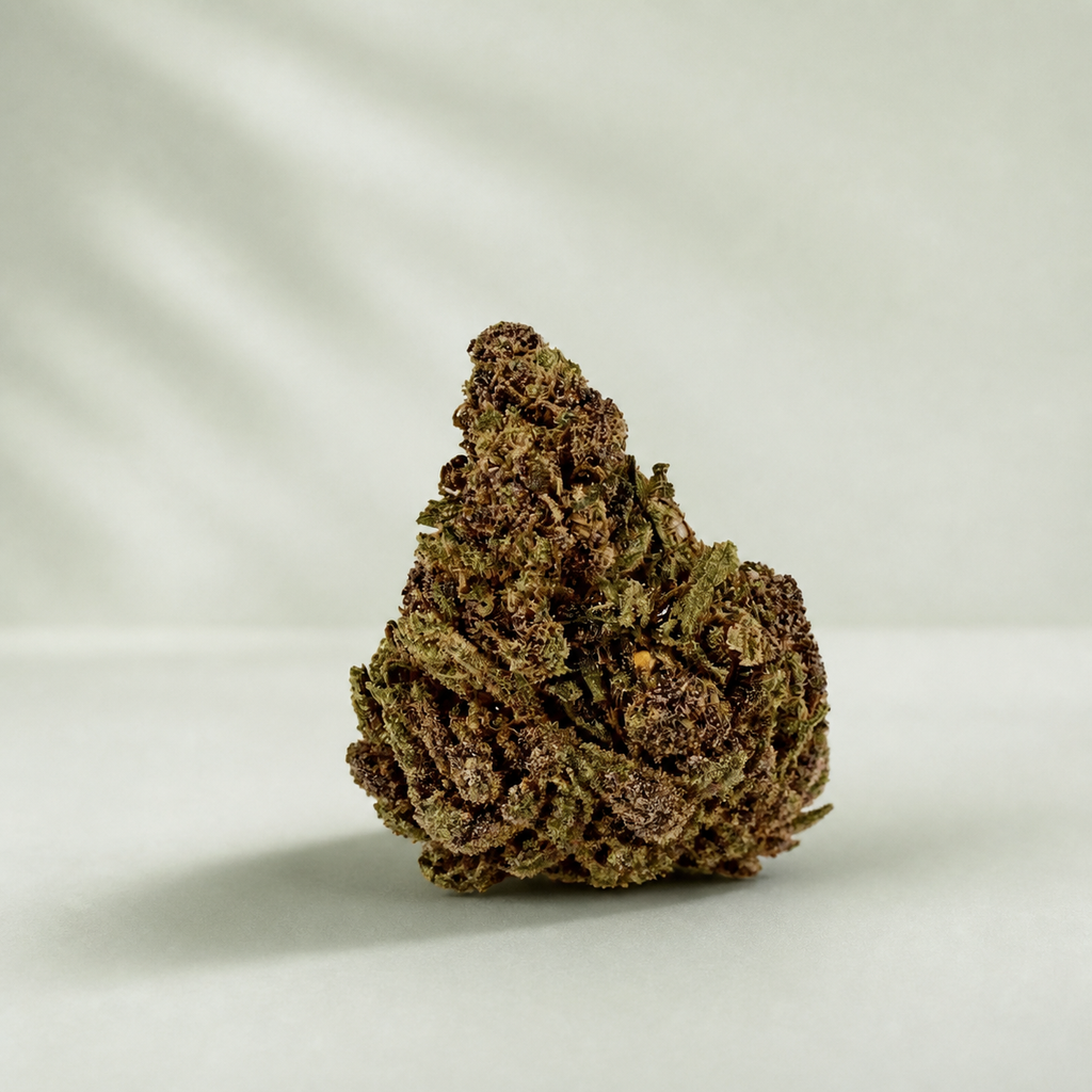 Champagne Kush CBD