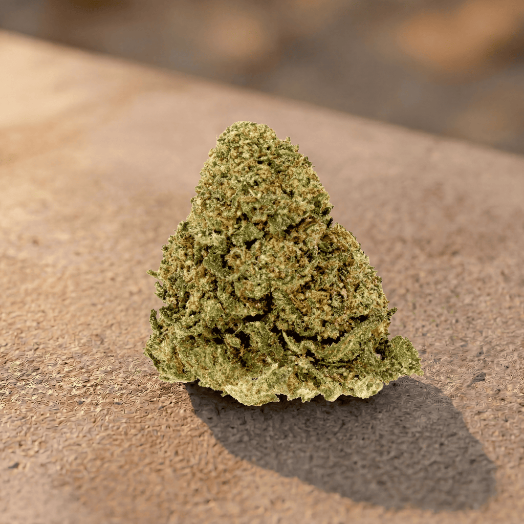 Flor de CBD Cozy