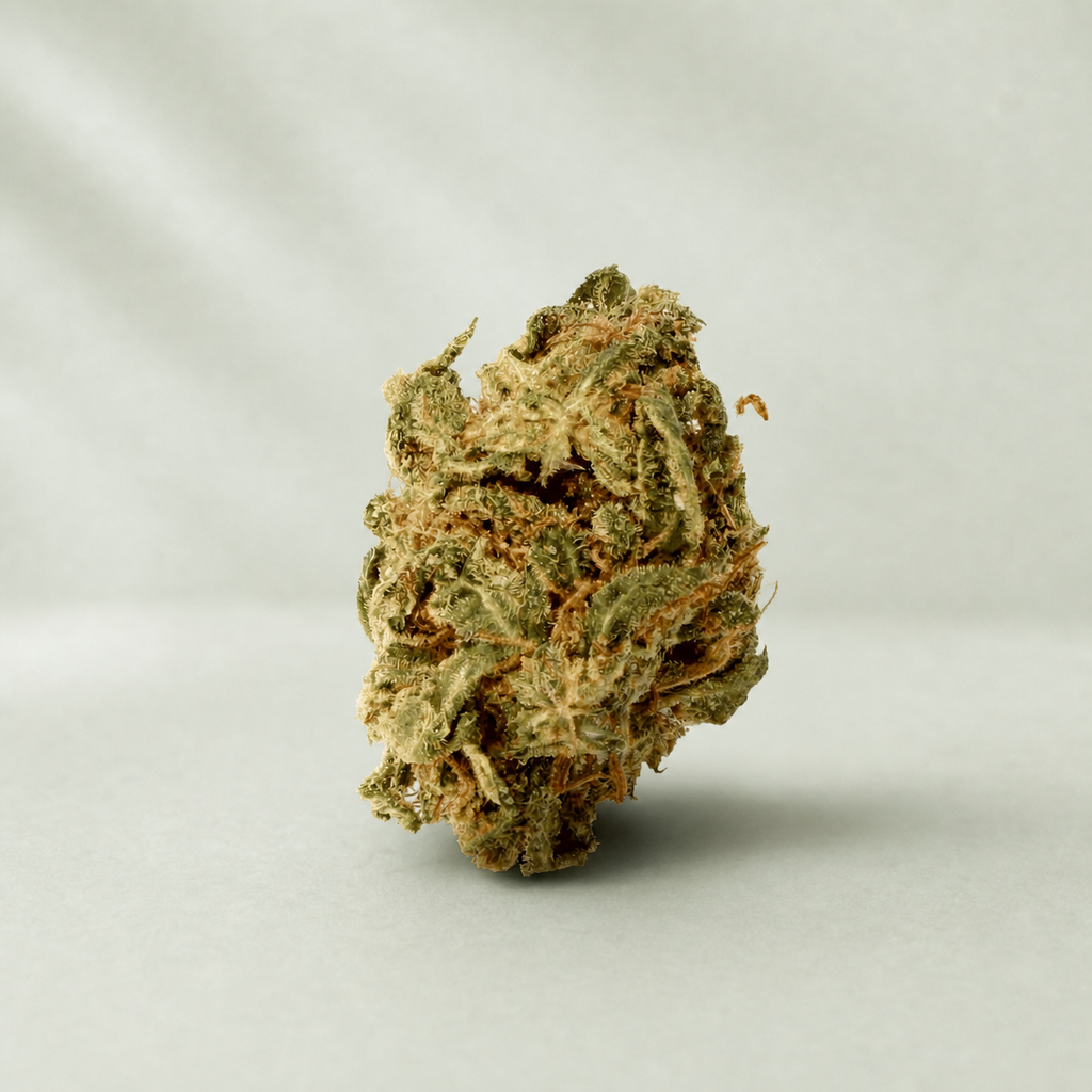 Critical Small Bud CBD