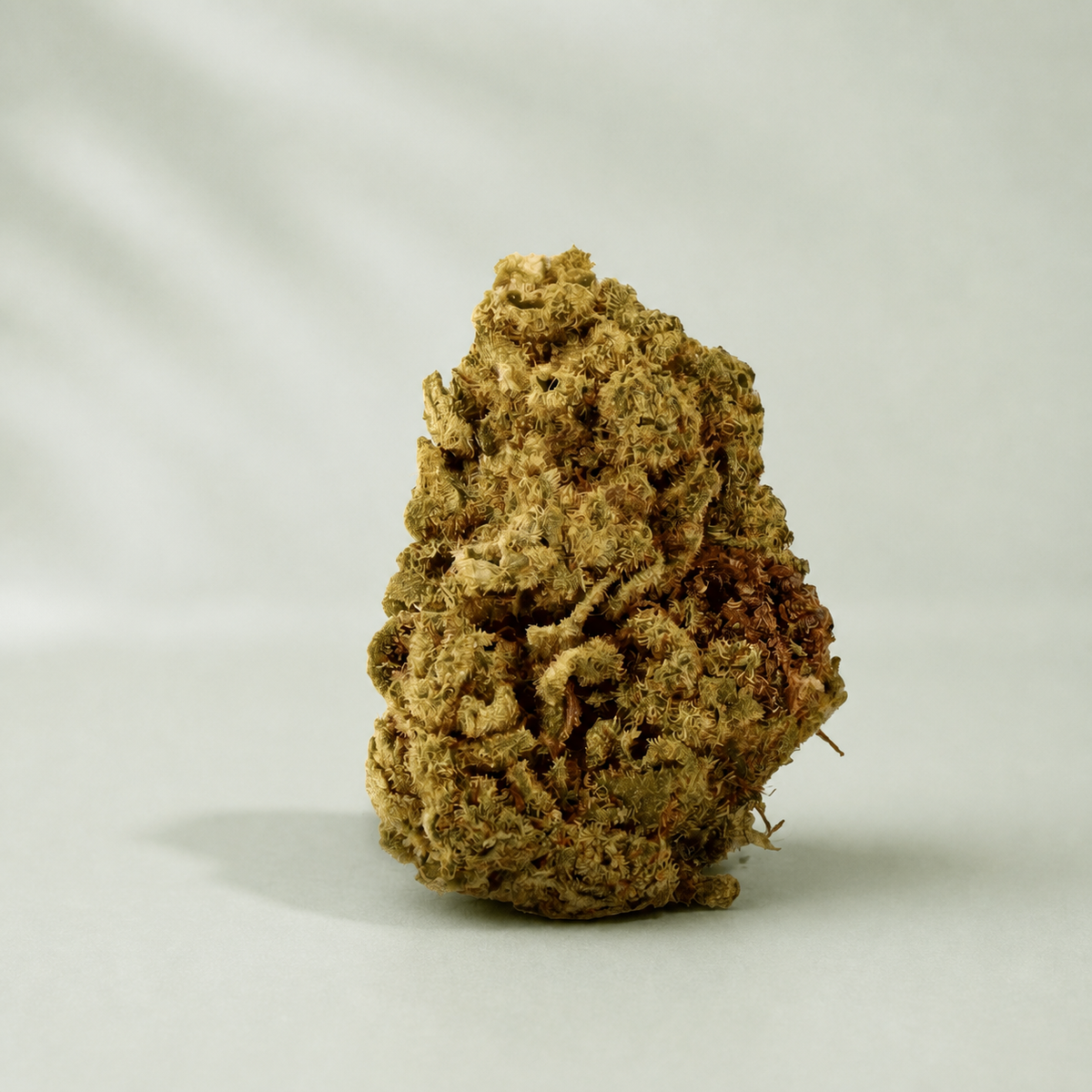 Gelato CBD