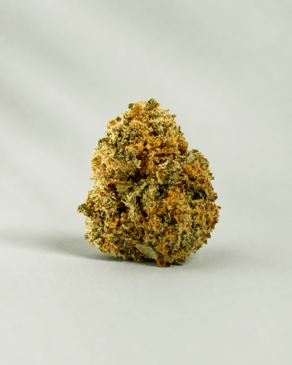 Flor de CBD Ice Cream Small Buds sur fond Beldia vert sauge