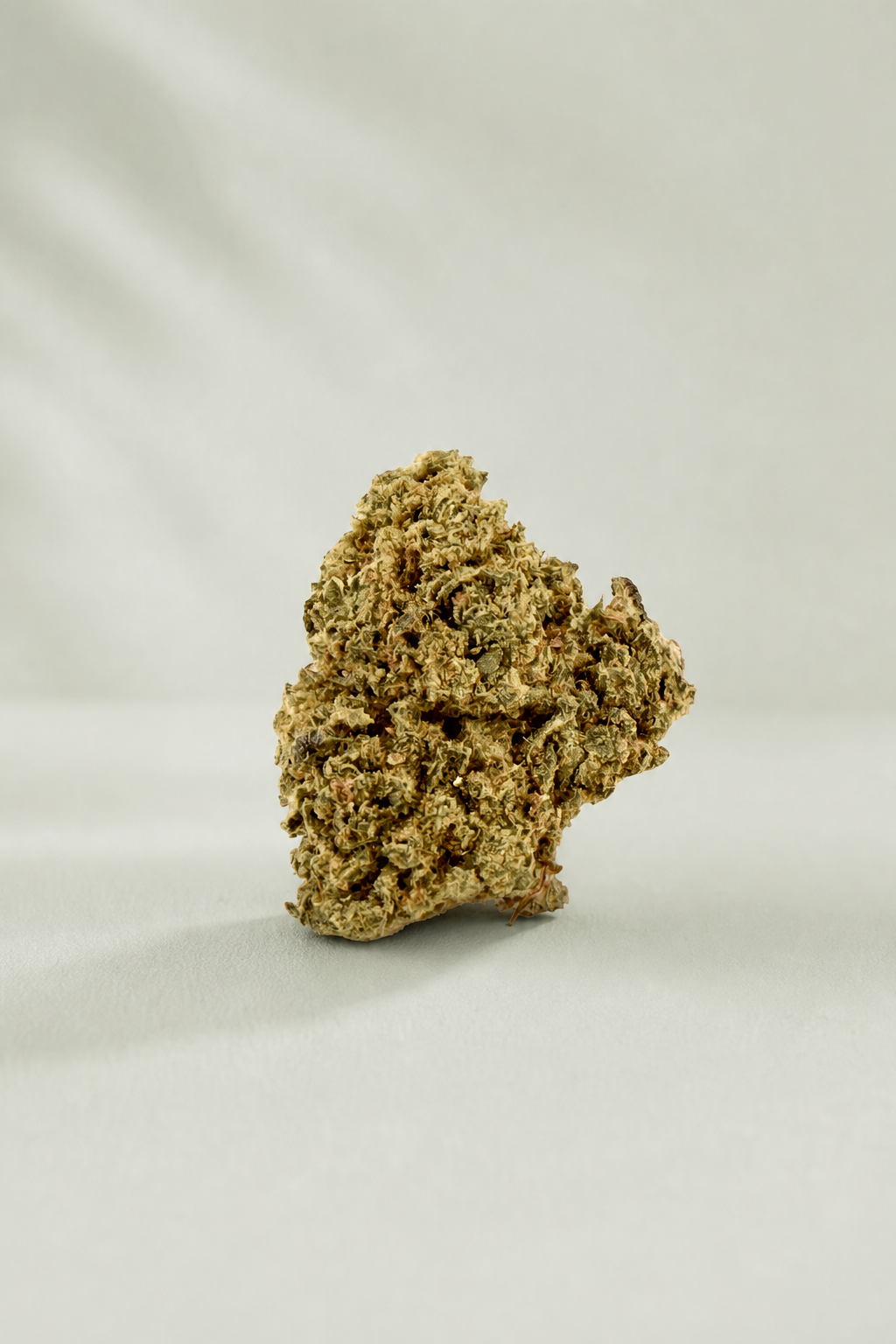 Flor de CBD Lemonade Small Buds sur fond Beldia vert sauge