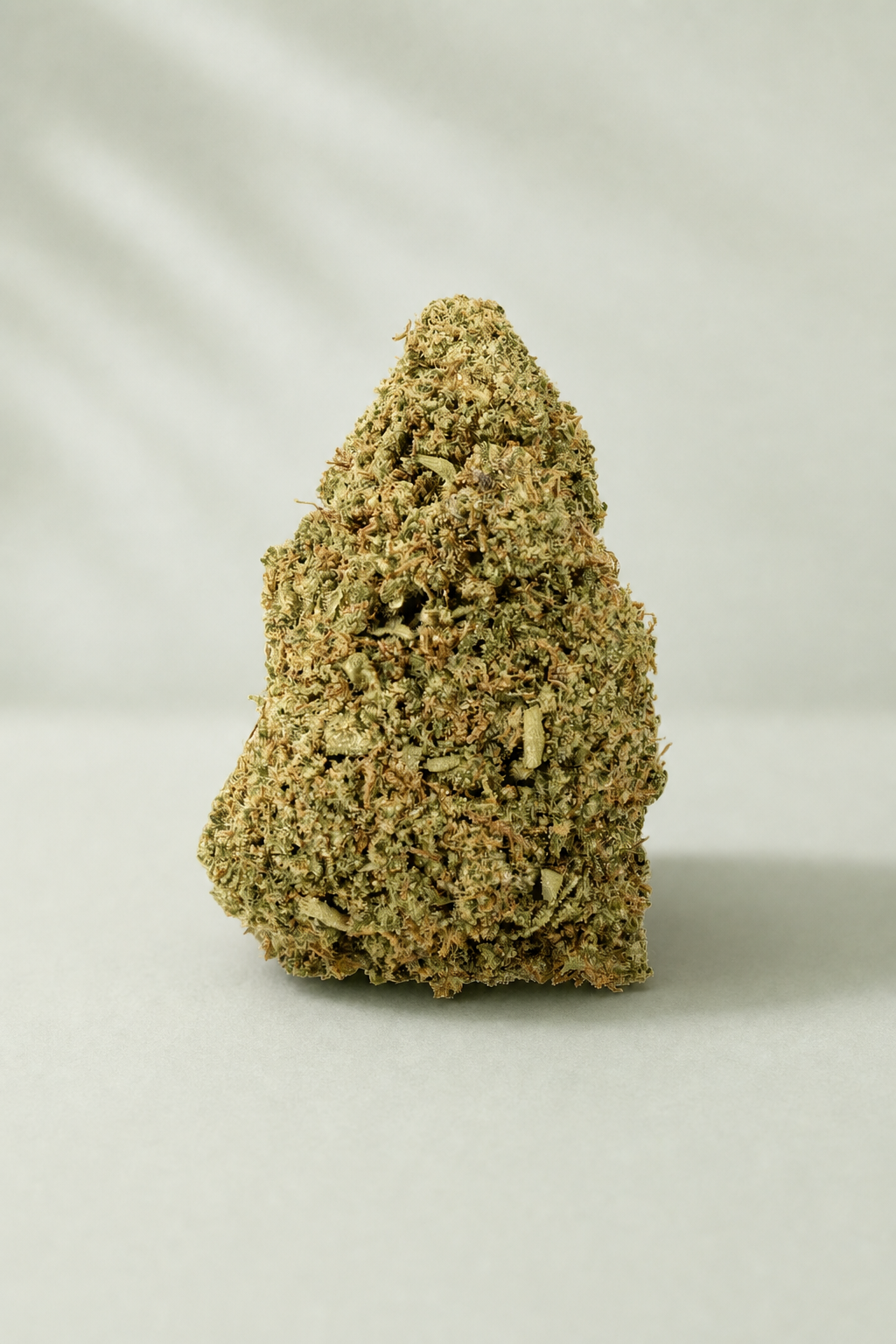 Flor de CBD Liberty Haze sur fond Beldia vert sauge