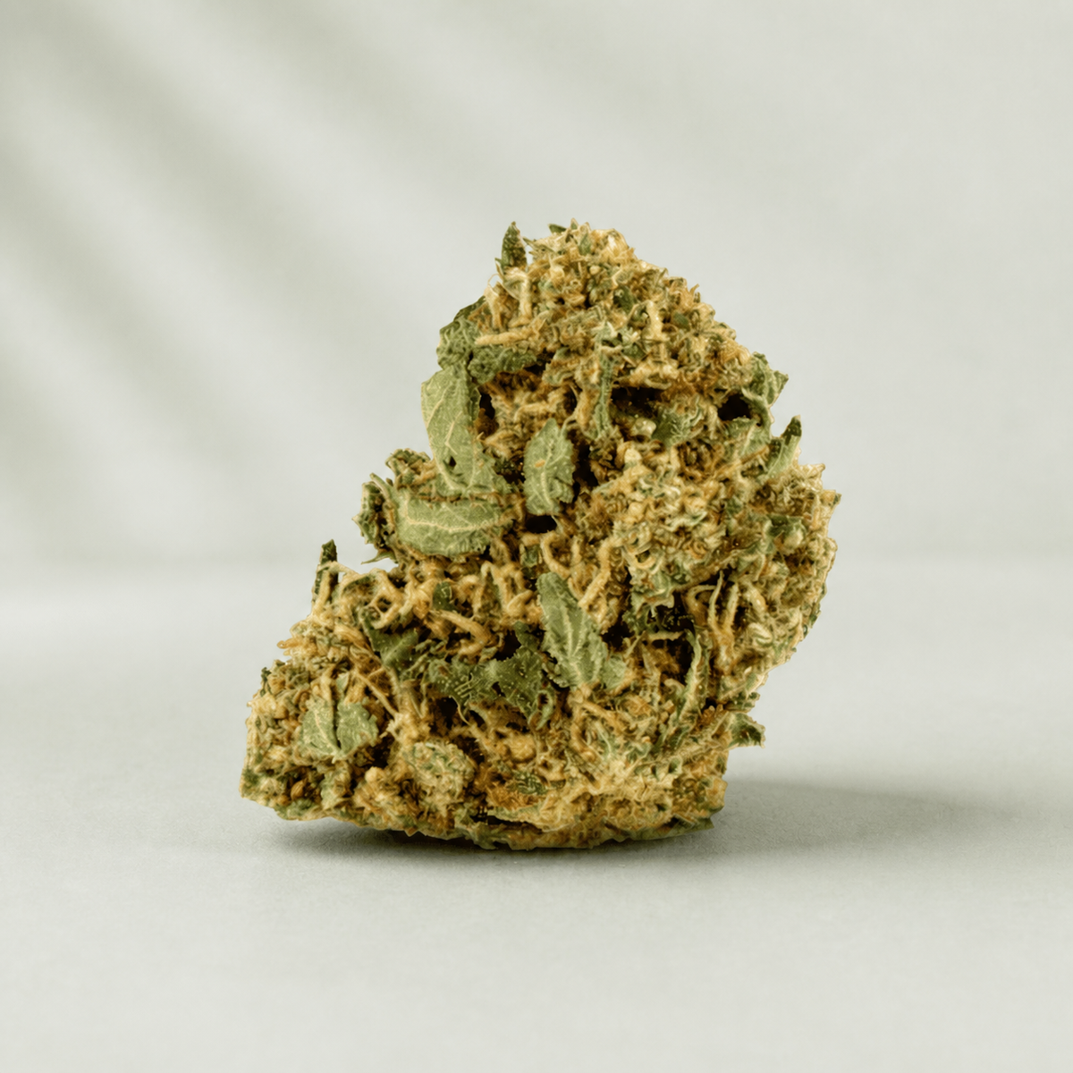Orange Bud CBD