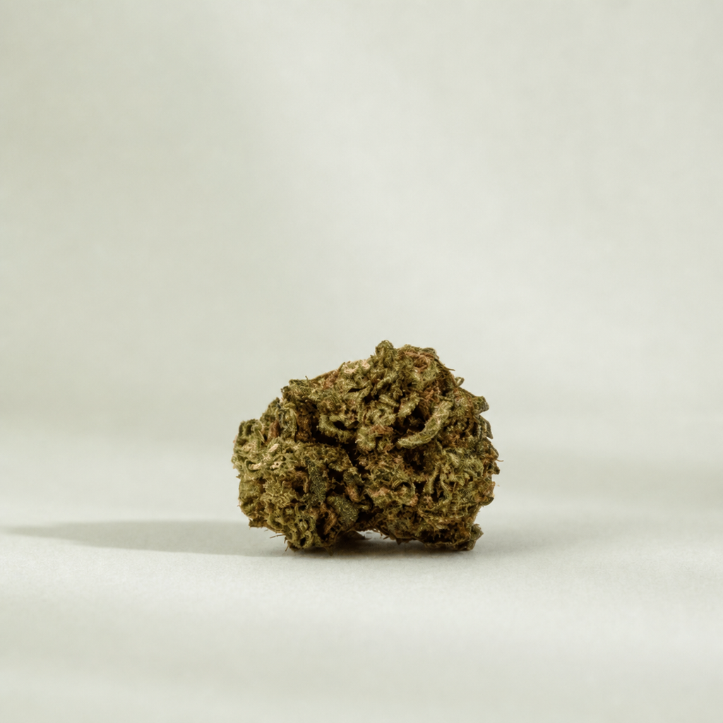 Orange Small Buds CBD