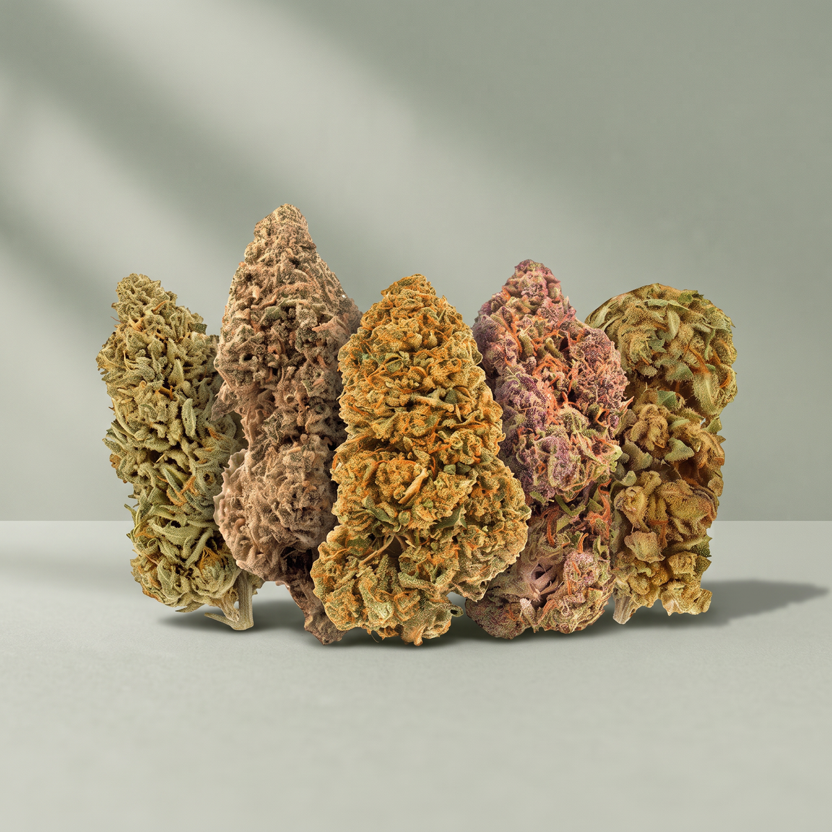 Pack Descoberta Flores CBD - 5 variedades