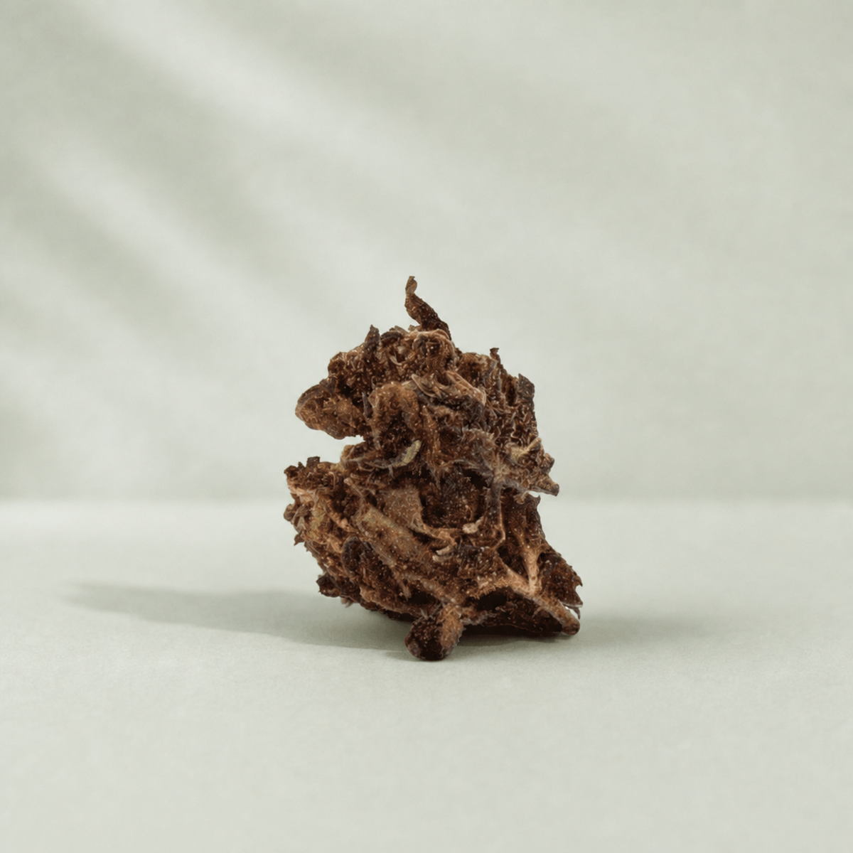 Pop Corn Small Buds CBD sur fond Beldia vert sauge clair