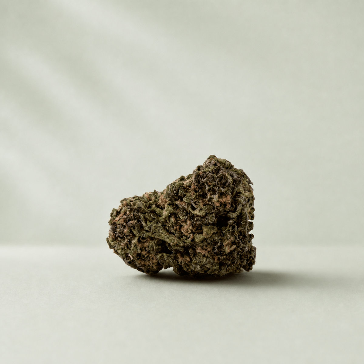 Purple Haze Small Buds CBD sur fond Beldia vert sauge clair