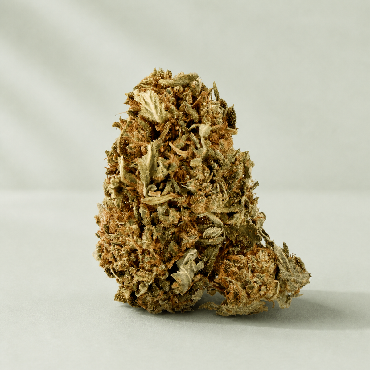 Skunk CBD sur fond Beldia vert sauge clair
