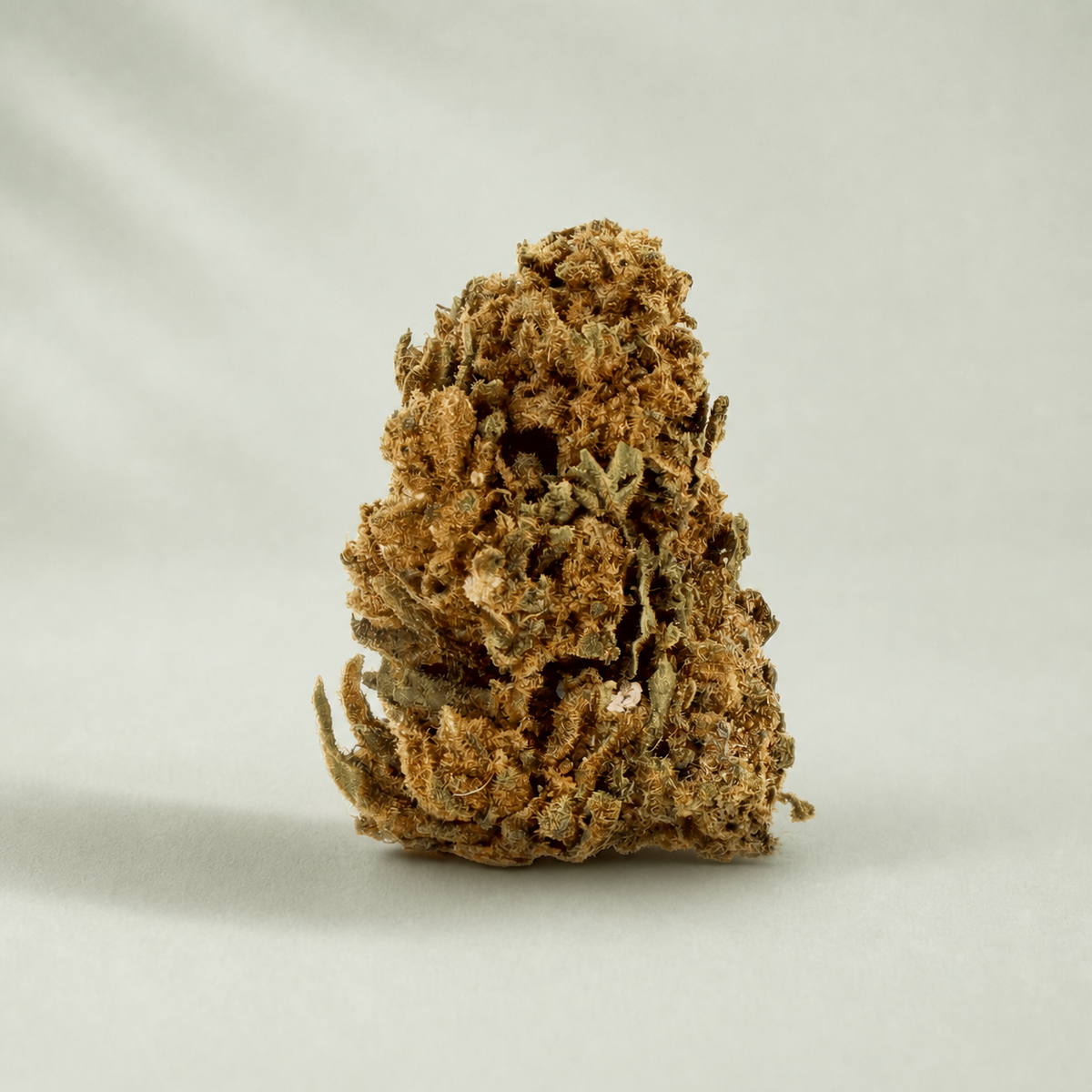 Tangie CBD sur fond Beldia vert sauge clair