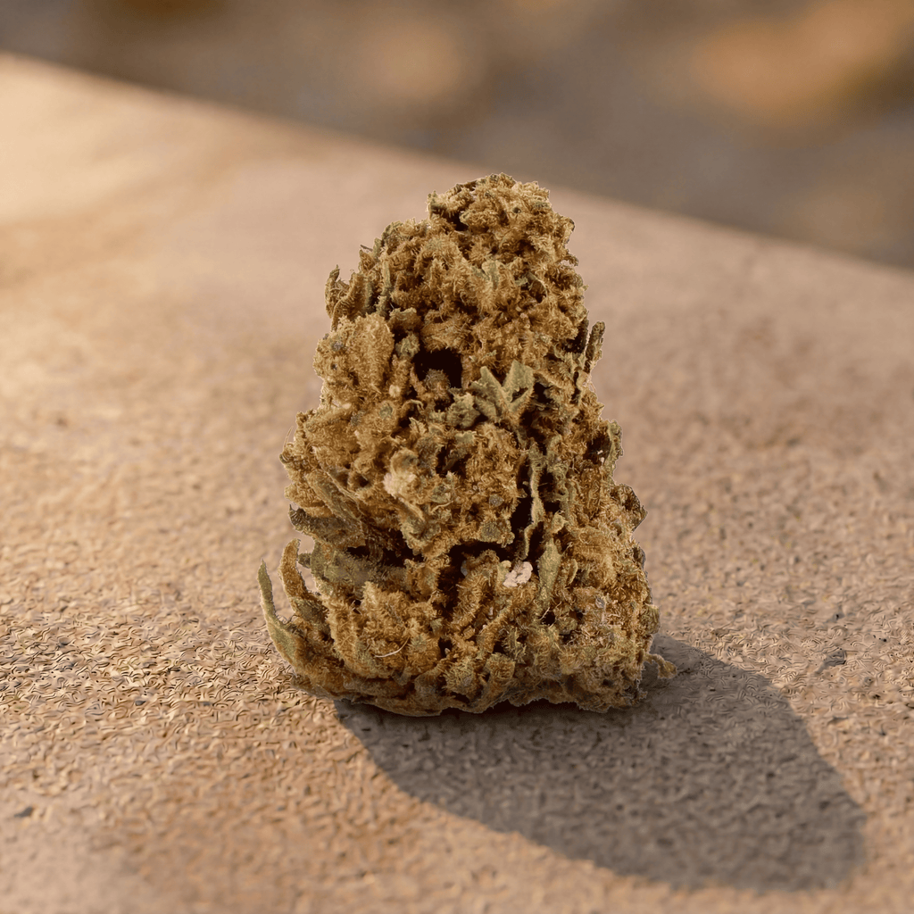 Flor de CBD Tangie