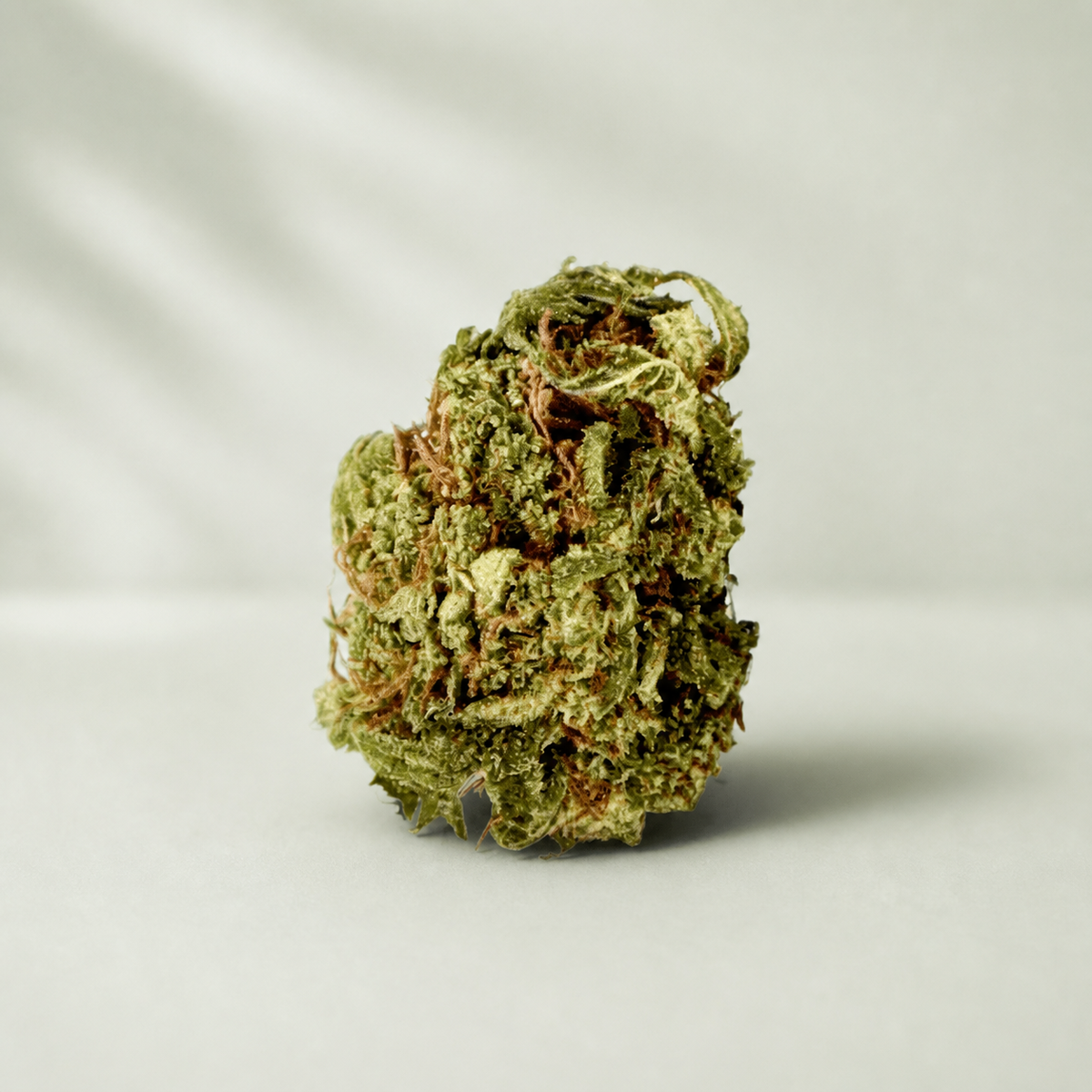 White Widow Small Buds CBD sur fond Beldia vert sauge clair